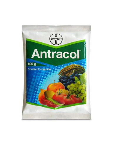 Antracol Fungicide | Shield Your Crop with Reliable, Long-Lasting Fungal Protection.