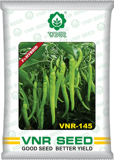 VNR 145 F1 Hybrid Chilli Seeds - High Yield, Early Maturity & Pungent