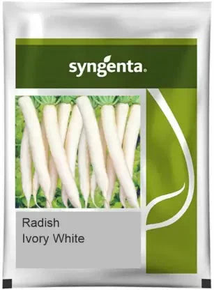 Syngenta Ivory White Radish Seeds – Early Maturity Hybrid