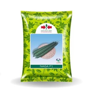 Naga Ridge Gourd Seeds – High Yield & Vigorous Growth