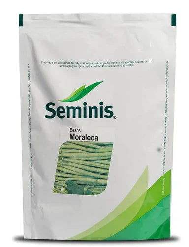 Moraleda Beans - Staking Bean with 15-20 cm Pods