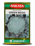 Green Magic Hybrid Broccoli Seeds by Sakata – High-Quality with Uniform Curd