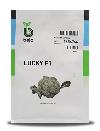 LUCKY BROCCOLI SEEDS