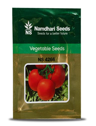 NS 4266 F1 Hybrid Tomato Seeds – Deep Red Fruits for Kharif & Rabi